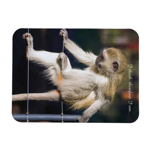 Kühlschrankmagnet mit Monkey und Slogan Magnet (Horizontal)