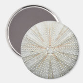 Kühlschrankmagnet Sea Urchin - Rund (Vorderseite/Rückseite)