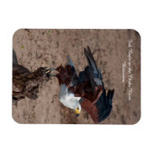 Kühlschrankmagnet von Fischadler Magnet (Horizontal)