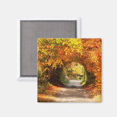 Kühlschrankmagnet Yellow Bog Kilcullen (Vorderseite/Rückseite)