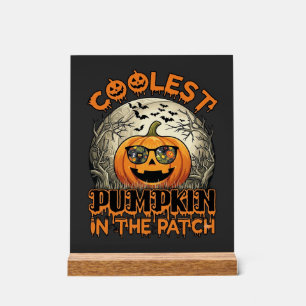 Kühlster Kürbisfeld Halloween Gruselige Sonnenbril Acrylschild