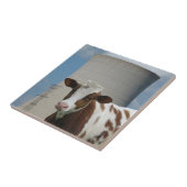 Kühlturm für Kuh und Nukleare Power Fliese (Seite)