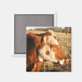Kuhmagnet: Extravagant Magnet (Vorderseite/Rückseite)