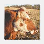 Kuhmagnet: Extravagant Magnet (Vorne)