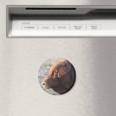 Kuhmagnet: The Bull Magnet (In Situ (Geschirrspüler))