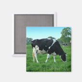 Kuhmagnete Magnet (Vorderseite/Rückseite)