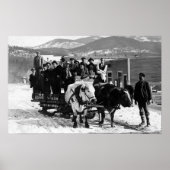 Kuhmannschaft, die Männer in einem Wagen zieht Poster (Vorne)