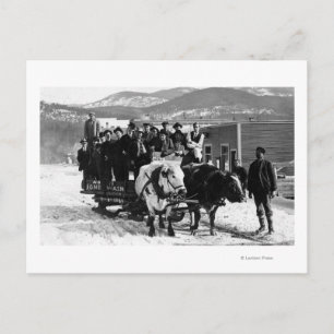 Kuhmannschaft, die Männer in einem Wagen zieht Postkarte