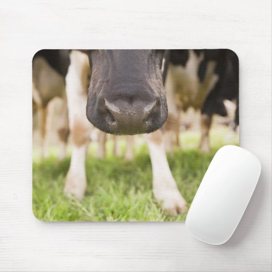 Kuhnase Mousepad (Mit Mouse)