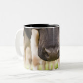 Kuhnase Zweifarbige Tasse (Vorderseite Links)