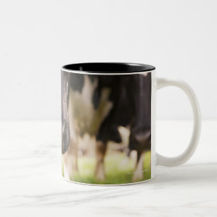 Kuhnase Zweifarbige Tasse