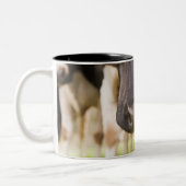 Kuhnase Zweifarbige Tasse (Links)