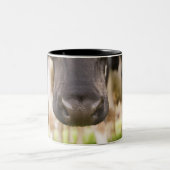 Kuhnase Zweifarbige Tasse (Mittel)
