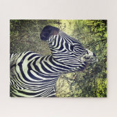 Kühne schöne Schwarz und Weiß Zebra Kenya Puzzle (Horizontal)