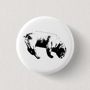 Kühne Sicht, ruhige Marke Button