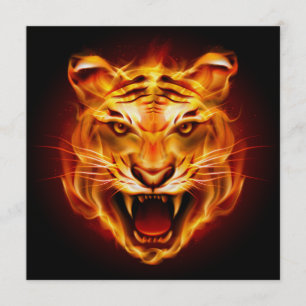 kühne Tiger-Einladung - SRF Einladung