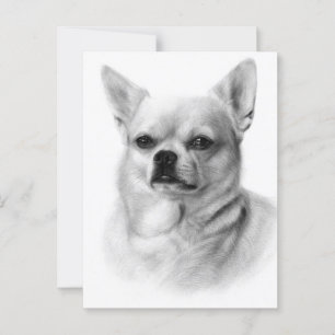 Kühner Blick - Exklusive handgemalte Chihuahua Postkarte