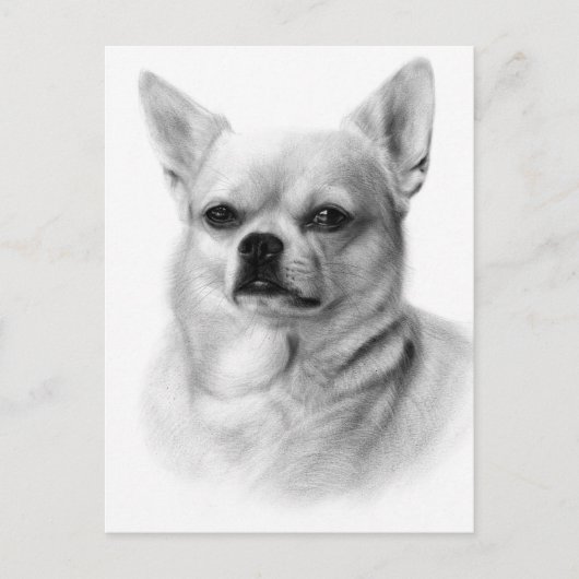 Kühner Blick - Exklusive handgemalte Chihuahua Postkarte (Vorderseite)