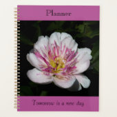 Kühnes Pfingstrosen-Planbuch Planer (Vorderseite)