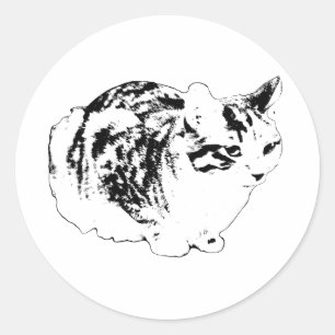 Kühnes Winter Tabby in Loaf Runder Aufkleber