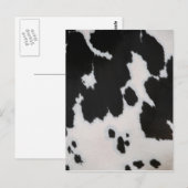 Kuhpelz Postkarte (Vorne/Hinten)