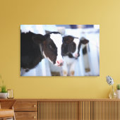 Kuhportrait Leinwanddruck (Insitu (Wohnzimmer))