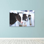 Kuhportrait Leinwanddruck (Insitu (Holzboden))
