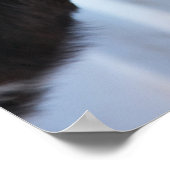 Kuhportrait Poster (Ecke)