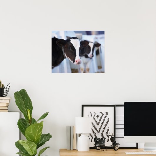 Kuhportrait Poster (Heimbüro)