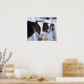 Kuhportrait Poster (Küche)