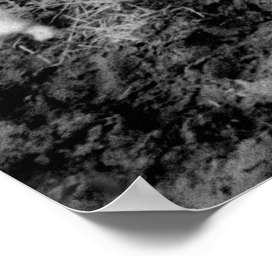 Kuhposter Poster (Ecke)