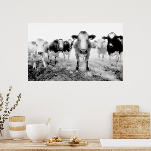 Kuhposter Poster (Küche)