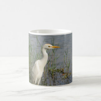 Kuhreiher-Vogel-Fotografie-Tasse – Elegantes Weiß Kaffeetasse
