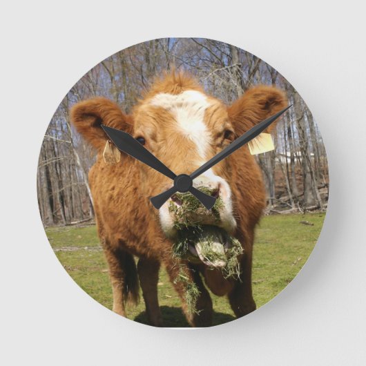 Kuhsäulenuhr Runde Wanduhr (Vorderseite)