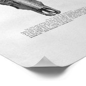 Kuhschädel Anatomie Vintag Poster (Ecke)