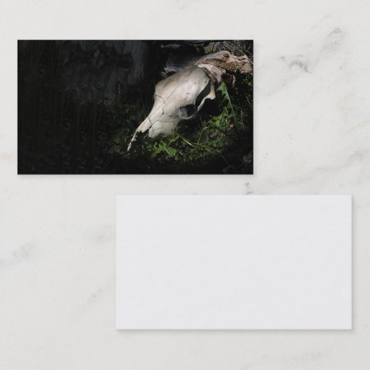 Kuhschädelprofil oder -Visitenkarte Visitenkarte (Vorne/Hinten)