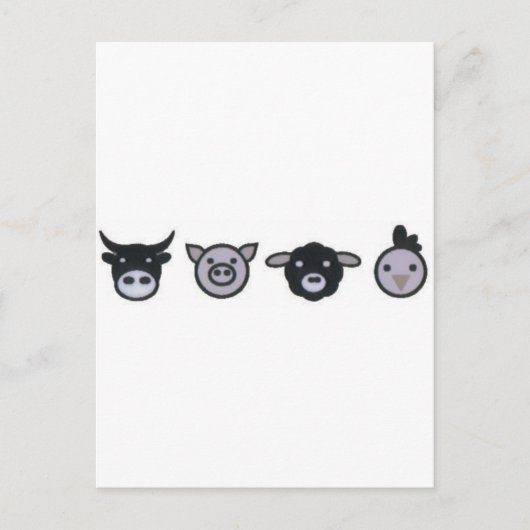 Kuhschaf Postkarte (Vorderseite)