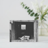 Kuhschäwe Postkarte (Stehend Vorderseite)