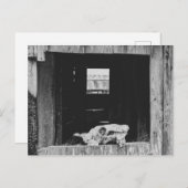 Kuhschäwe Postkarte (Vorne/Hinten)