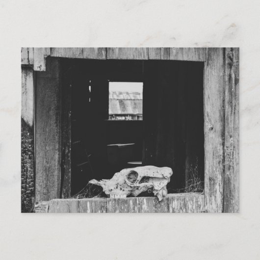 Kuhschäwe Postkarte (Vorderseite)