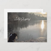 Kuhsee am Morgen mit Hund in Augsburg Postkarte (Vorne/Hinten)