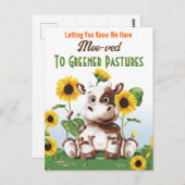 Kuhsonnenblume Änderung der Anschrift Postkarte (Vorne/Hinten)