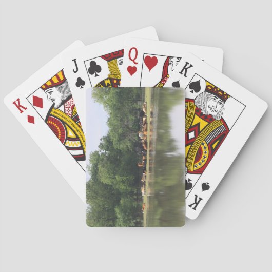 Kuhspielkarten Spielkarten (Rückseite)