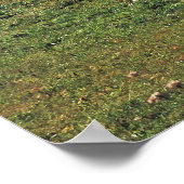 Kuhweide in den Alpen Poster (Ecke)