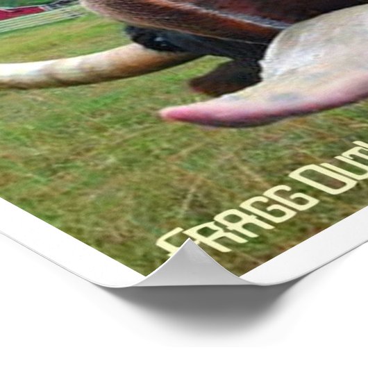 Kuhzunge Poster (Ecke)