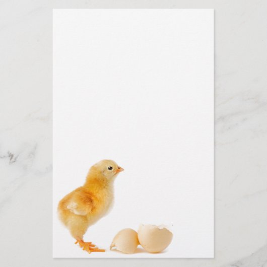Küken Briefpapier (Vorderseite)
