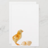 Küken Briefpapier (Vorne/Hinten)