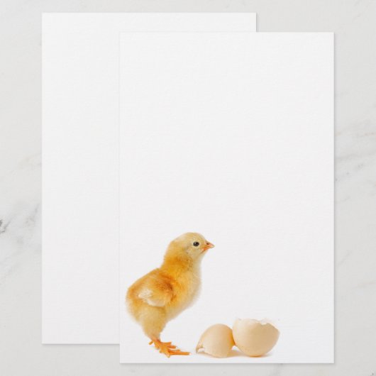 Küken Briefpapier (Vorne/Hinten)