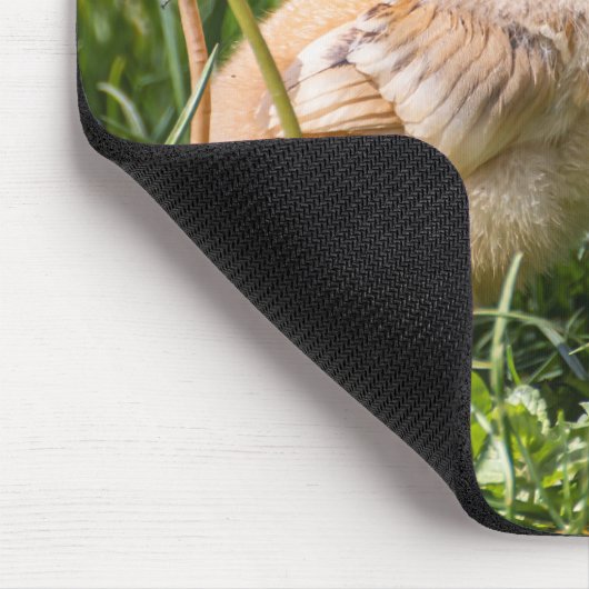 Küken, Huhn, Geflügel Mousepad (Ecke)