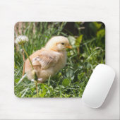 Küken, Huhn, Geflügel Mousepad (Mit Mouse)